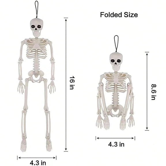 White 16-Inch Plastic Skeleton Pendant with Realistic Design for Car and Home Halloween Decor