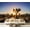 Color 3, variant on Wall Mural Peel and Stick Sunset desert landscape Joshua Tree National Park California Self-Adhesive Wallpaper Removable Wall Decal Wall Sticker Home Decor for Living Room Bedroom 69"x96"