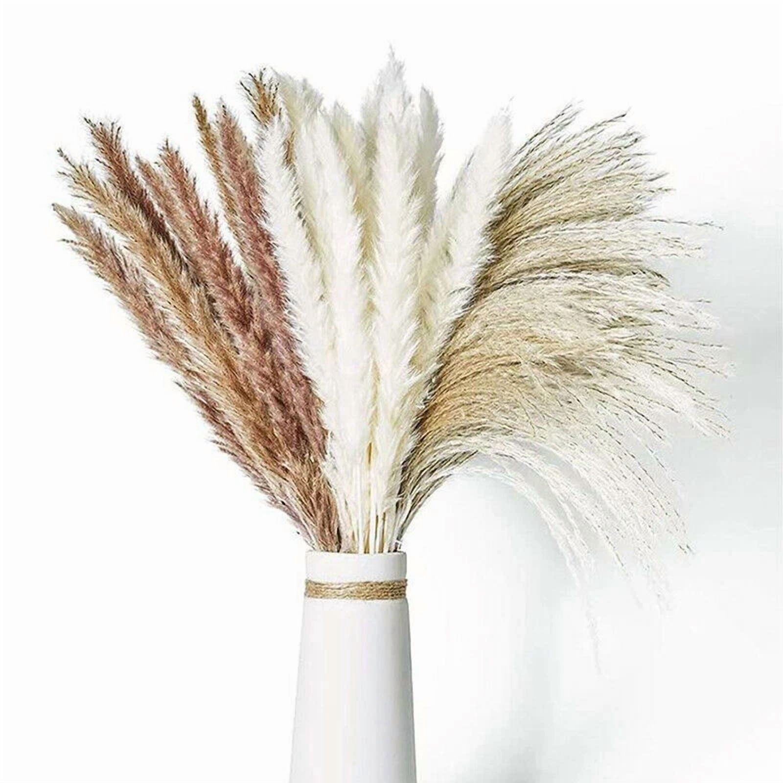 CIRCLE- 60 Pcs Pampas Grass Natural Dried Reed Flower Bunch Home Wedding Decor Bouquets
