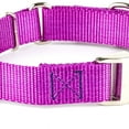 thumbnail image 5 of Country Brook Petz® Heavyduty Nylon Martingale with Premium Buckle, 5 of 5