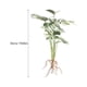 thumbnail image 2 of OHOIOLLA Planta Artificial Monstera Decorativa Resistente Para Oficina Y Hogar Con Vívido Y, 2 of 8