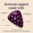 thumbnail image 5 of Nature's Way Sambucus Elderberry Immune Gummies, with Vitamins C, D3, & Zinc, Unisex, 60 Count, 5 of 12
