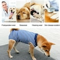 thumbnail image 5 of 1 traje posoperatorio para perros, de alta elasticidad, transpirable, para esterilización y castración de perros después de la cirugía., 5 of 5