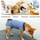 thumbnail image 5 of Traje postoperatorio para perros, traje de esterilización/castración transpirable de alta elasticidad para perros después de la cirugía, 1 Uds., 5 of 5