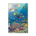 thumbnail image 1 of Ocean Coral Reef Angel Fish Garden Diving Rectangle Acrylic Fridge Refrigerator Magnet, 1 of 5