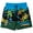Blue / green, variant on Donatello Raphael Leonardo UPF 50+ Swim Trunks Toddler to Big Kid