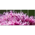 thumbnail image 2 of Pink Little Flowers Close up View, 2 of 3
