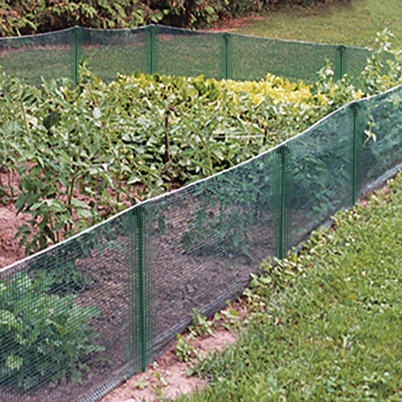 6.5'x30'chicken,pests,birds,Netting Poultry protecting Poultry Fence EZ-Barrier 