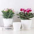 thumbnail image 3 of Flower Pot Round Planters Succulents Plant Pot with Tray Office Desktop Balcony Home Garden Decoration Outdoor Potted 5 Sizes, 3 of 10
