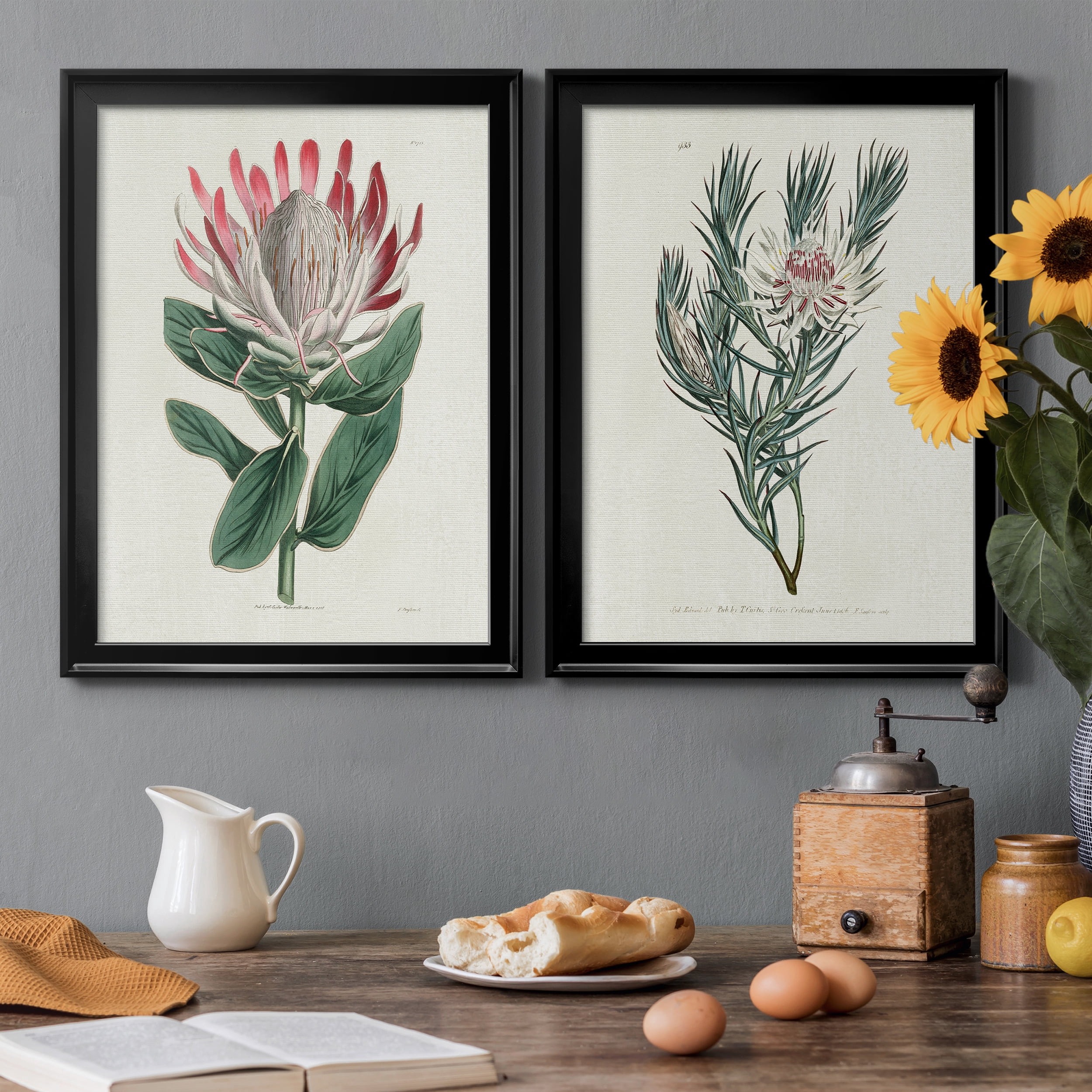2 Piece Set Protea N13 Premium Framed Canvas - Ready to Hang - 22.5 x 30.5 Each - Black Frame