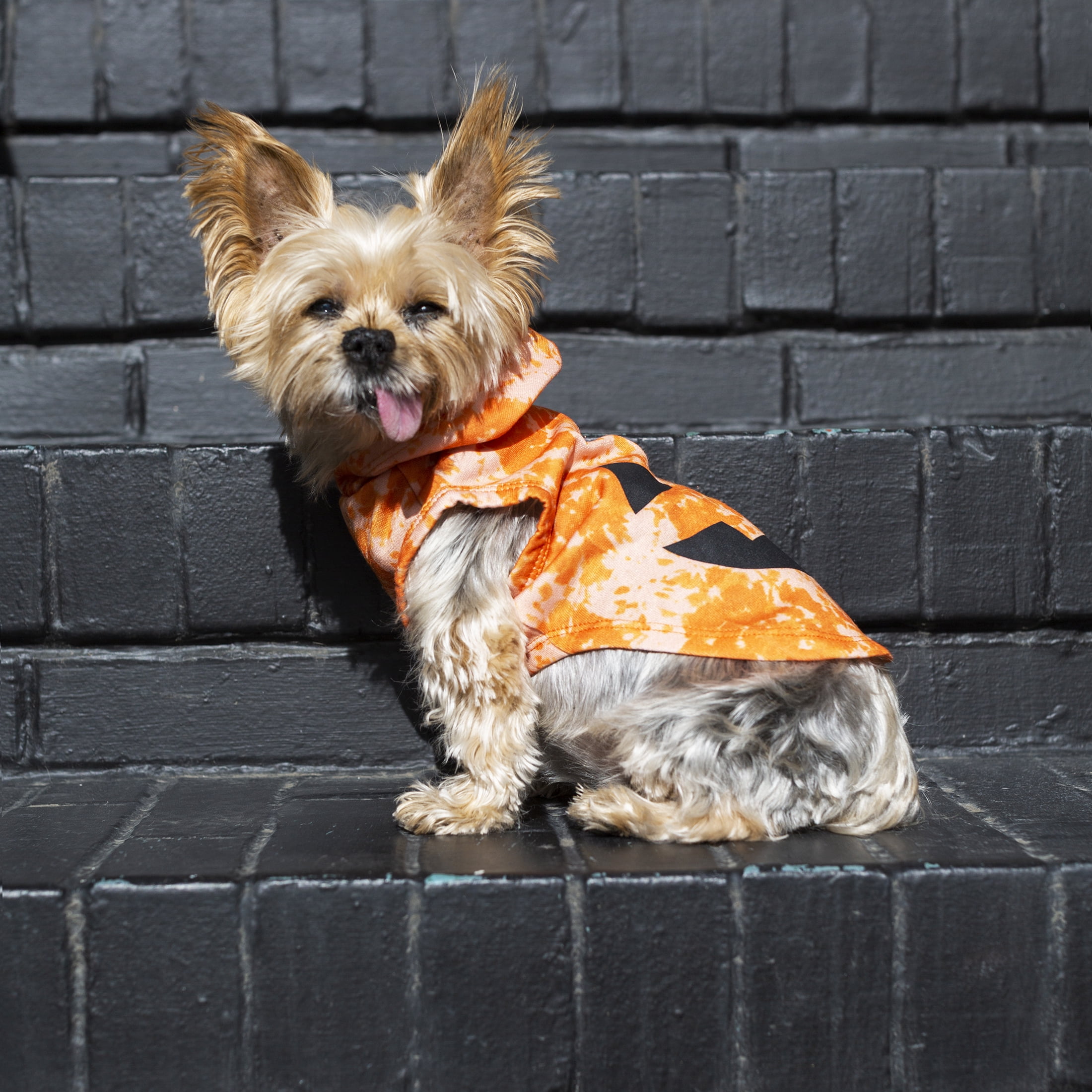 Vibrant Life Halloween Dog Clothes, Orange Jack-O-lantern Hoodie, for Dogs or Cats, Size XXS