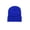 Sapphire Blue, variant on Women Beanie Hats for Men Women,Warm Stretchy Ski Hat Knitted Fluorescent Cuffed Slouchy Cap