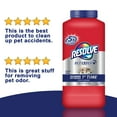 Resolve Pet Formula Carpet Cleaner Moist Powder, 18 Ounce