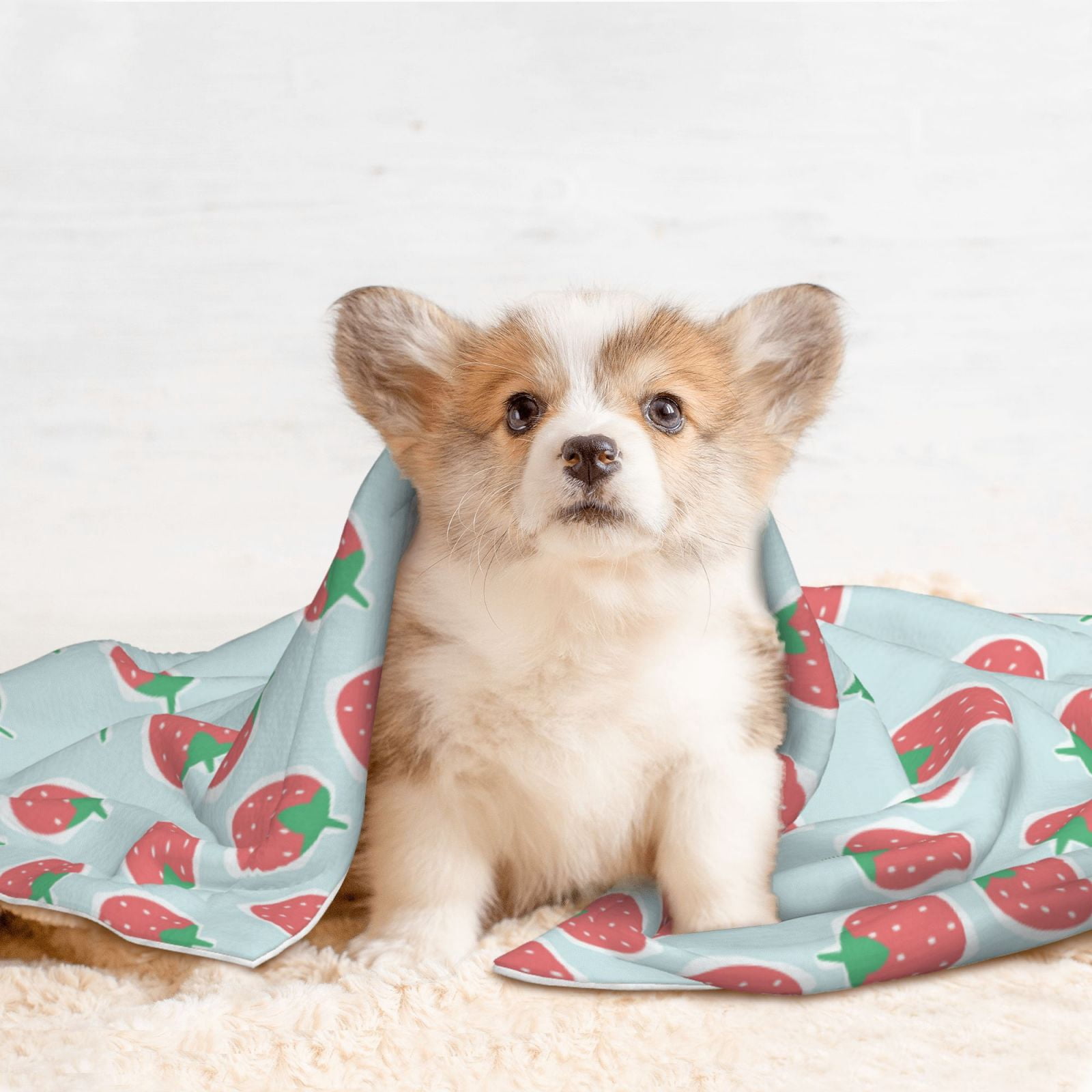 Naloa Hand Drawn Strawberry Dog Blanket, 3 Sizes Cat Blanket for Indoor Cats Large Medium Small Dog Gifts-Large