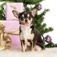 thumbnail image 2 of Miaocao Pink Rhinestone Dog Collars for Small Dogs, Pretty Bling Diamond Puppy Collar Crystal Sparkly Glitter Jewel Girls Cat Collars for XXS Xs Small Medium Pet Female Dogs Kitten, 2 of 6