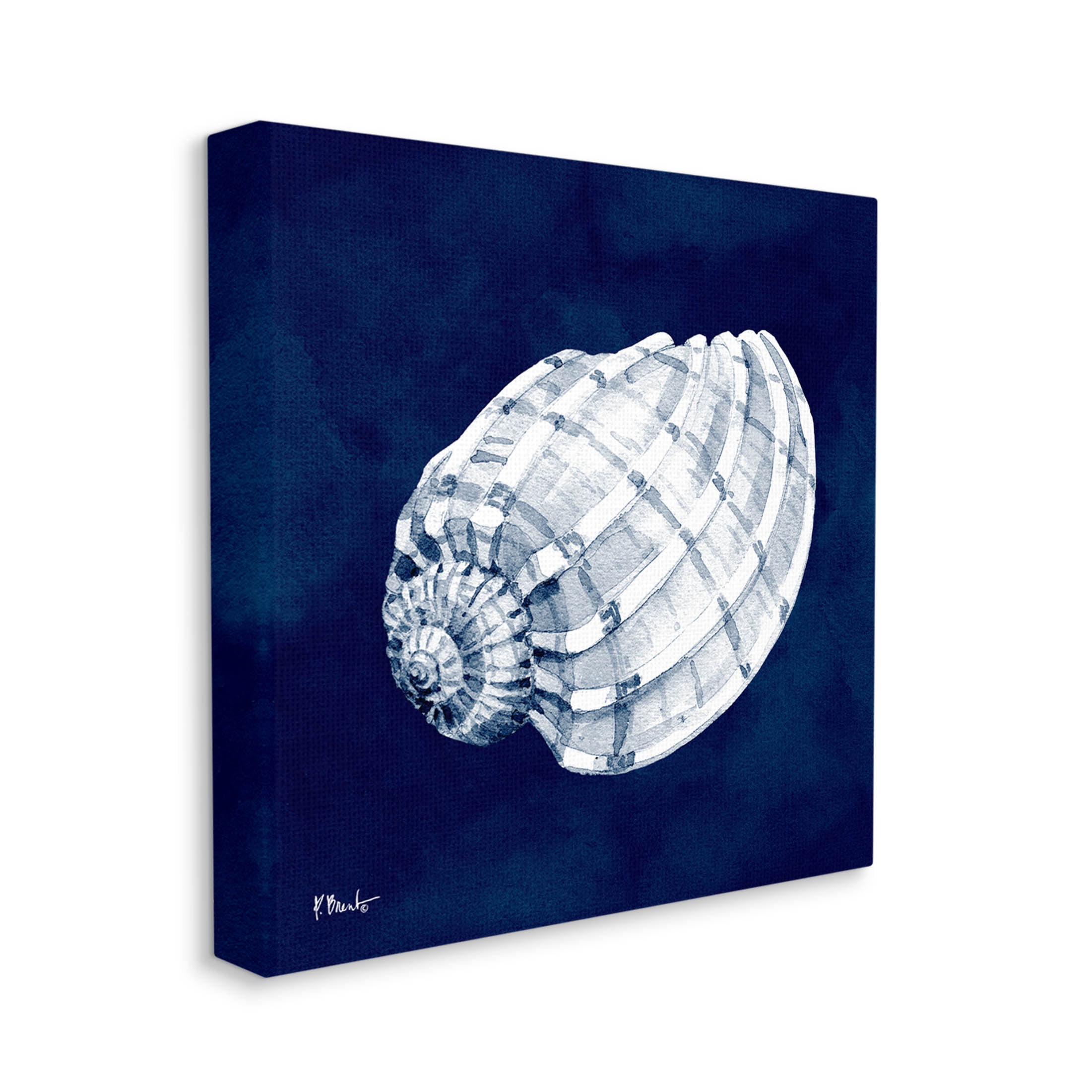 Stupell Industries Cyanotype Shells Coastal Illustration Graphic Art Gallery Wrapped Canvas Print Wall Art, Design by Paul Brent