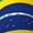 2 Black-2, variant on Women's Knee High Socks Flag Of Brazil Thermal Soft Knee Long Socks