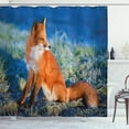 thumbnail image 1 of Ambesonne Fox Shower Curtain, Serene Cold Autumn Field, 69"Wx75"L, Blue White Orange, 1 of 3