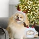 thumbnail image 1 of Disfruta de la Navidad con este Sombrero de Fiesta para Perros, Disfraces de Navidad, Adornos de Navidad, Sombrero Ajustable, Accesorio de Juego para Perros, Perfecto para Fiesta de Navidad,, 1 of 6