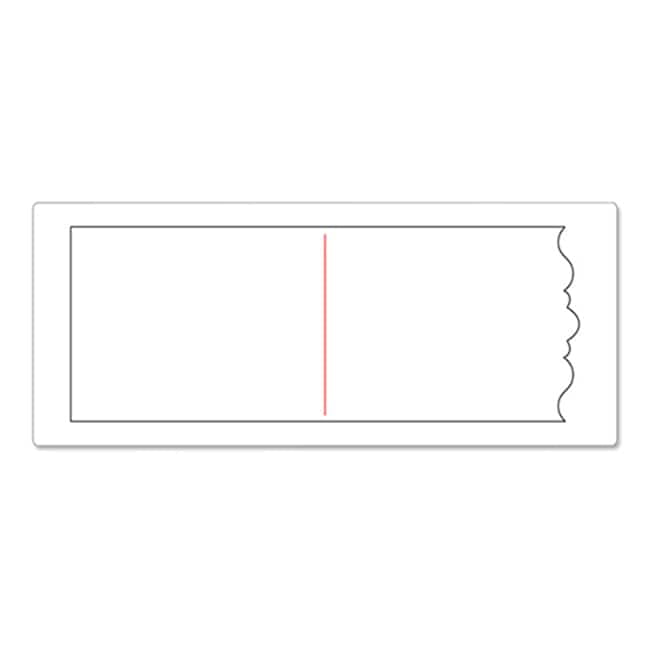 Sizzix Bigz XL/Bonus Textured Impressions By Basic Grey