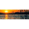 thumbnail image 1 of Wdftyju Pintura de diamante Sunset Reed Marshes completo taladro redondo DIY punto de cruz 100x40cm Wdftyju 3zw9kz5ts6ag6gk0, 1 of 9