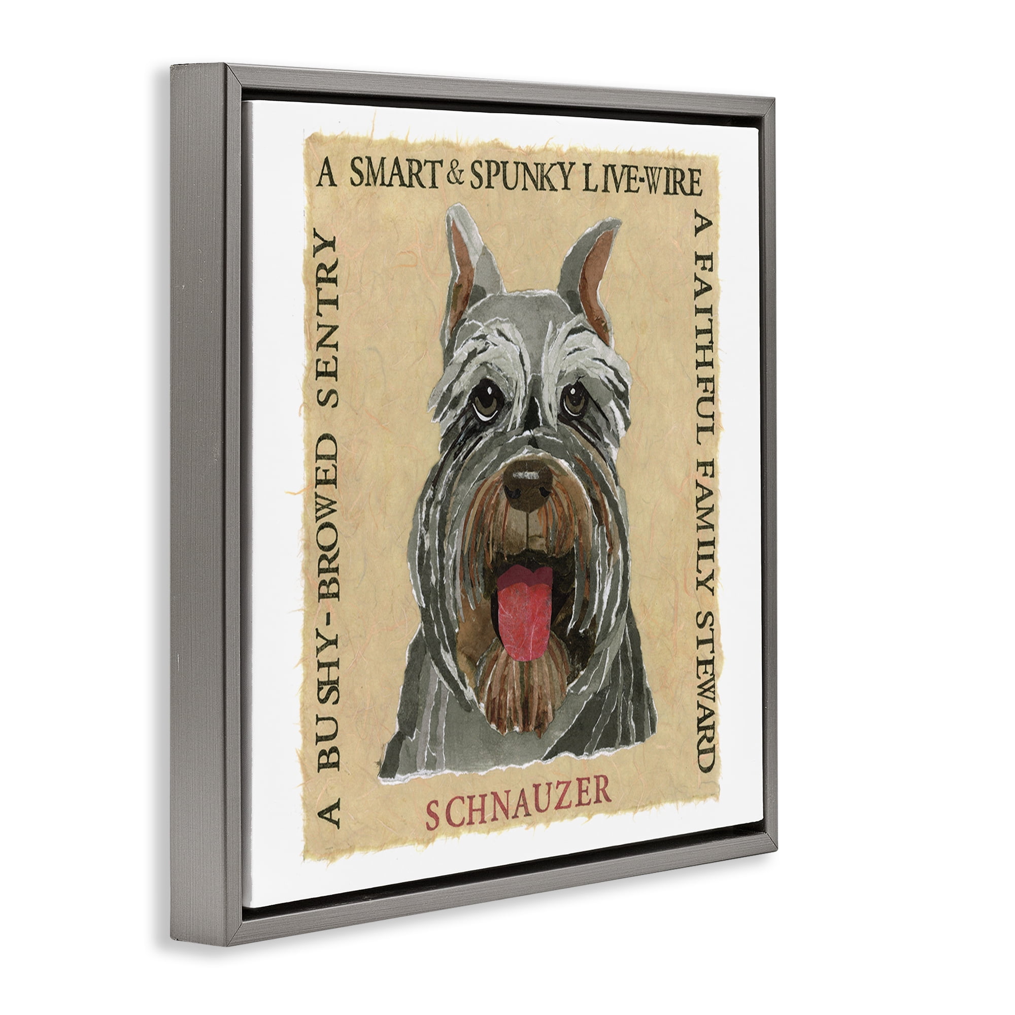 Stupell Industries Fun Schnauzer Pet Phrases Animals Painting Gray Floater Framed Canvas Art Print Wall Art, 18 x 18