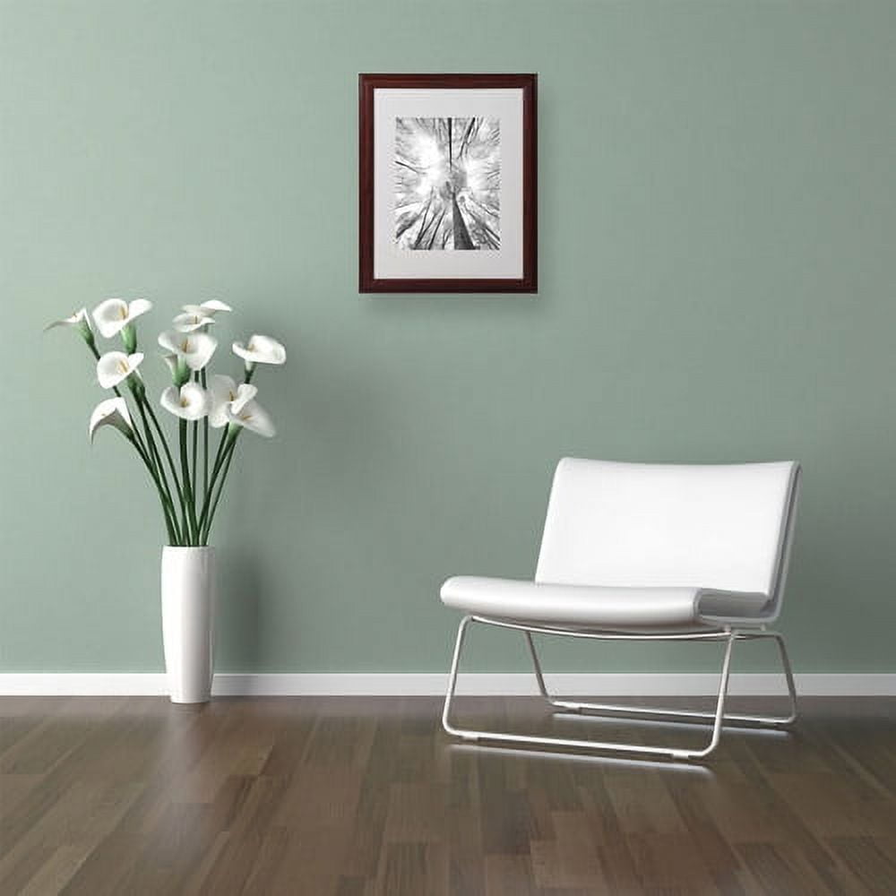 Trademark Fine Art "Recall the Days" Canvas Art by Philippe Sainte-Laudy, Wood Frame