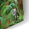 thumbnail image 3 of Epic Art 'Olympic NP Trail' by Mike Jones, Acrylic Glass Wall Art, 36"x24", 3 of 8