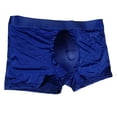 thumbnail image 1 of Men Ice Silk U Pouch Briefs Seamless G-String Boxer Briefs Panties Underwear, 1 of 9