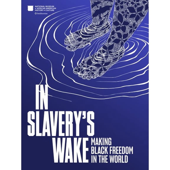 Pre-Owned In Slavery's Wake: Making Black Freedom in the World (Hardcover) 1588347796 9781588347794