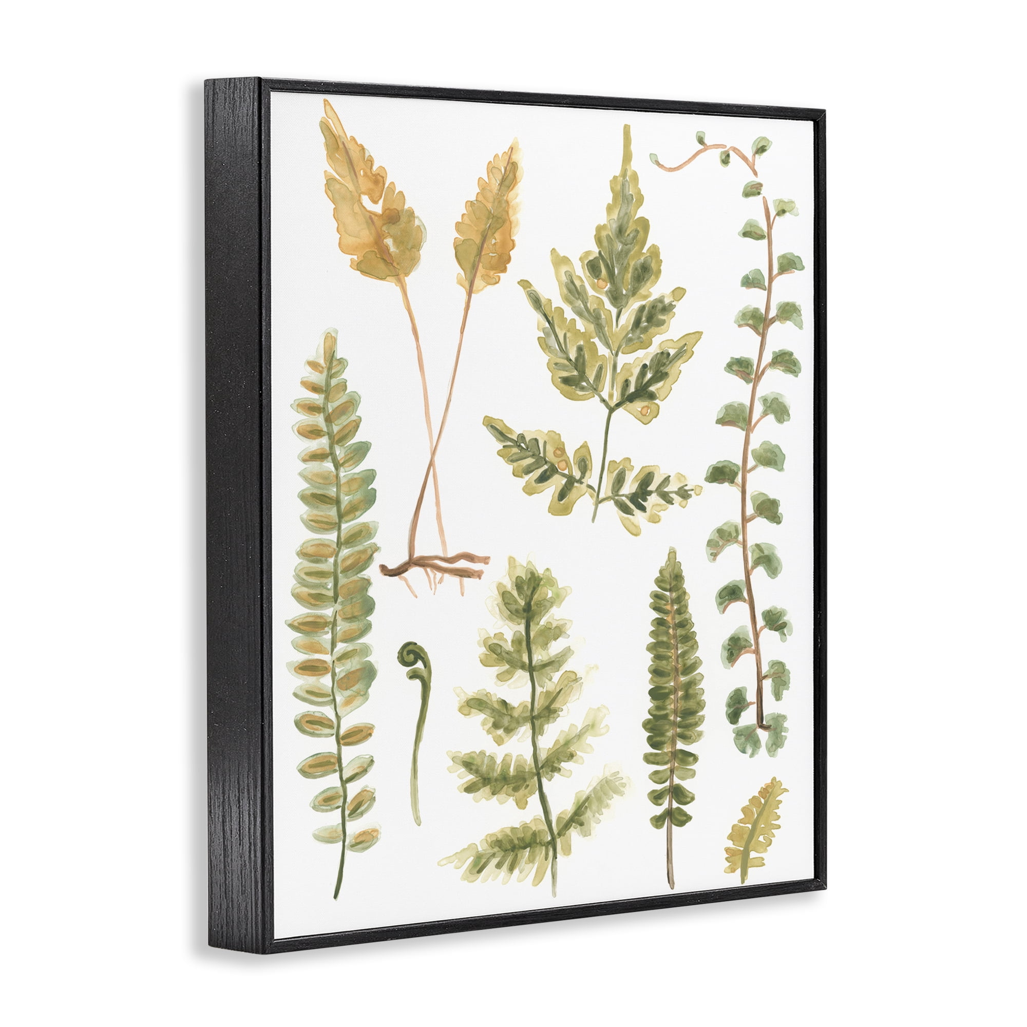 Stupell Industries Varied Fern Leaves Botanical & Floral Painting Black Framed Art Print Wall Art, 11 x 14