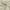 Cream, variant on Sun Zero Bergen Theater Grade Extreme 100% Blackout Rod Pocket Curtain Panel, 40"X96", Navy
