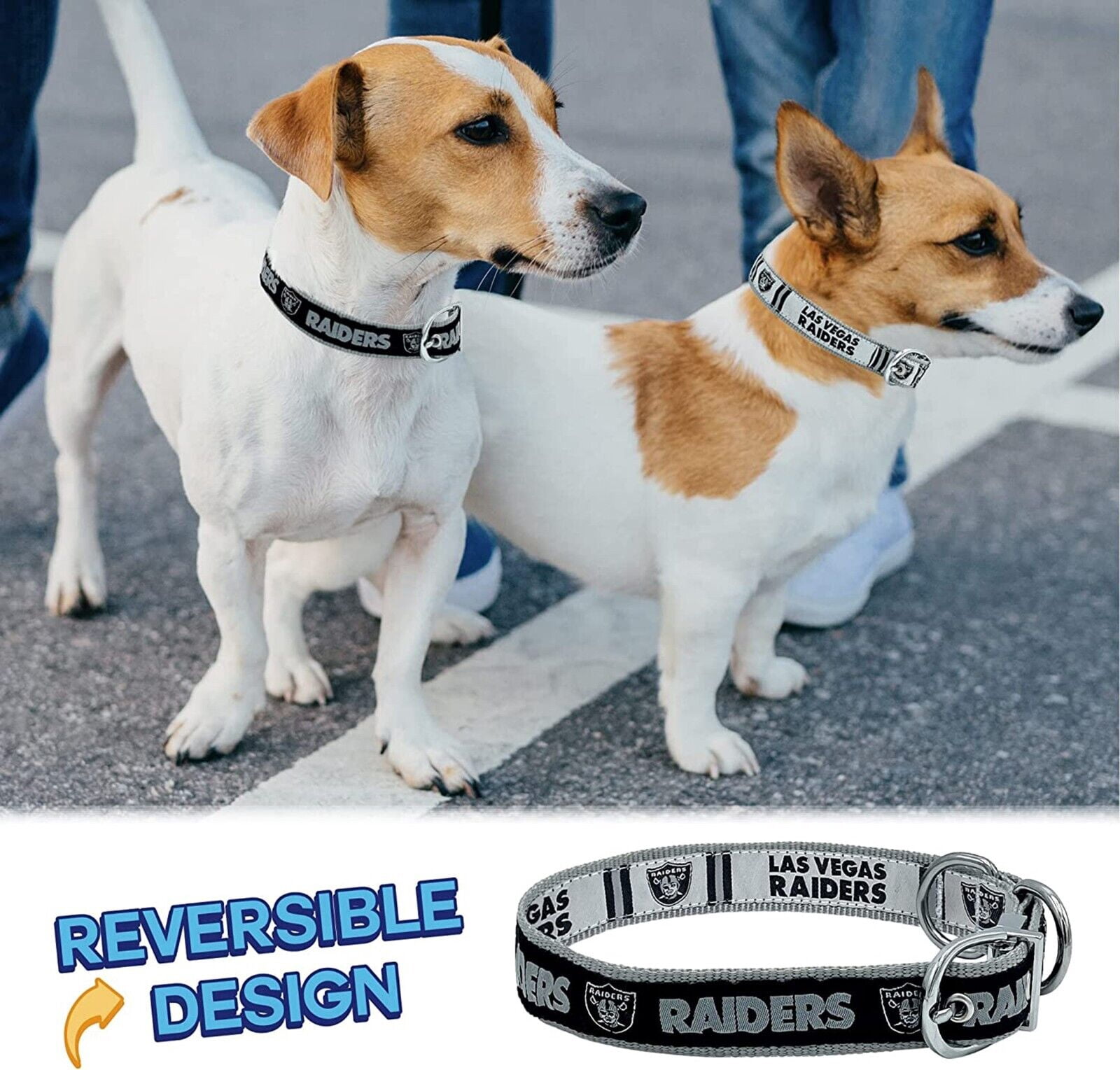 Pets First Las Vegas Raiders Reversible Collar Reversible NFL Dog Collar Premium Two-Sided Pet Collar with NFL Logo, Large