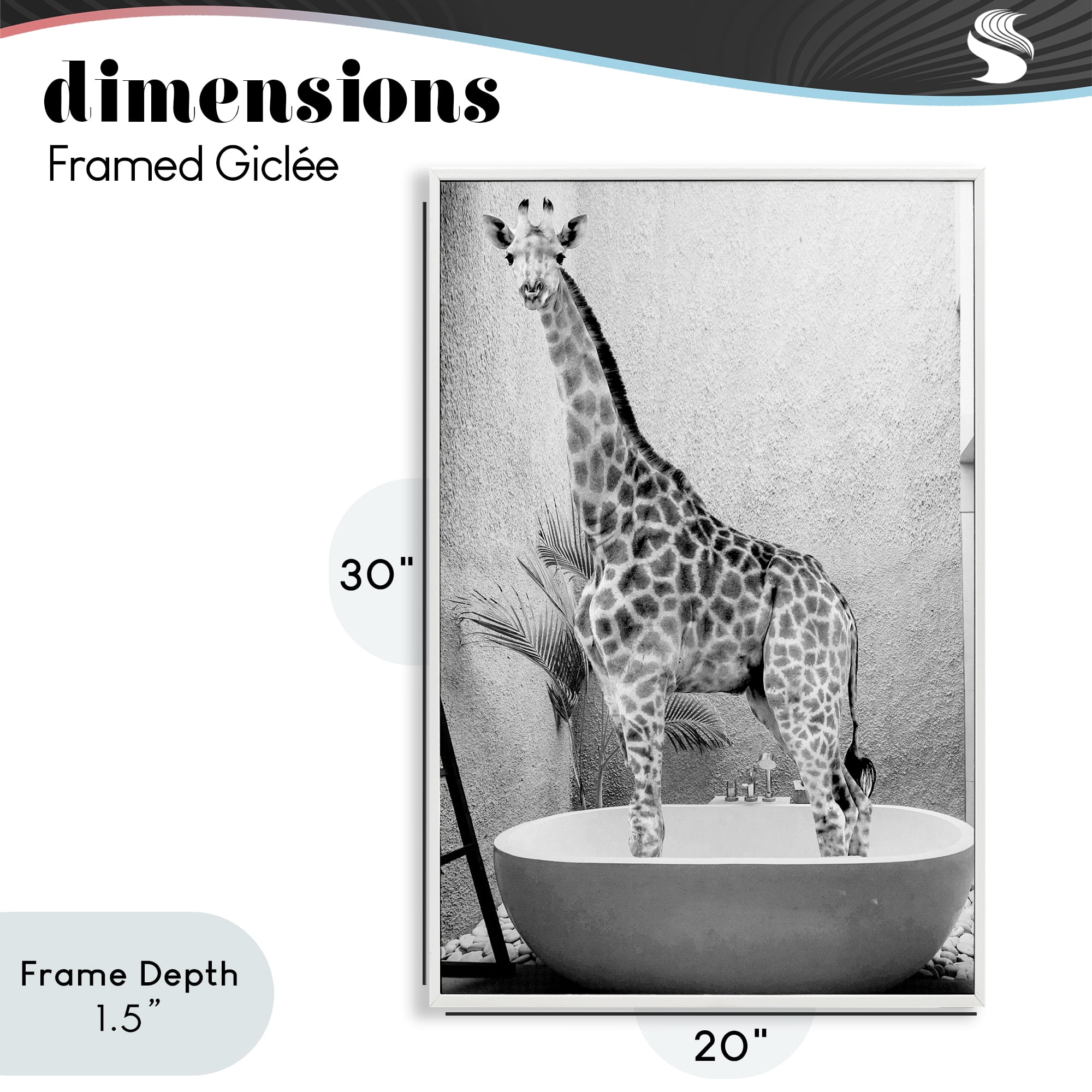 Stupell Industries Safari Bath Standing Tall White Framed Giclee Art, design by SD Graphics Studio