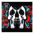 thumbnail image 2 of Deftones 20th Anniversary Importado Rojo Red Lp Vinyl, 2 of 3