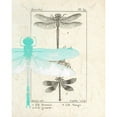 thumbnail image 3 of Allen, Kimberly 15x18 Black Modern Framed Museum Art Print Titled - Field Guide 1, 3 of 5