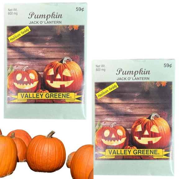 Valley Greene 800mg Pumpkin Seeds – Jack O'Lantern:2CT