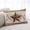 Brown Khaki, variant on Farmhouse Texas Star Brown Throw Pillow Covers, Berry Vintage Wooden Soft Breathable Pillow Cases with Invisible Zipper for Sleeping, Toddler Pillowcases for Couch Bed Sofa Chair 12x20 Inches