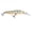 M061, variant on 11cm 14g/17g Long Bill Deep Diving Minnow Lure - Suspending Jerkbait for Long Casting, Freshwater & Saltwater Fishing (Hard Bait)