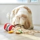thumbnail image 5 of Juguetes de cubo de fideos suaves, juguete para olfatear perros, juguetes divertidos para olfatear perros, juguete para olfatear perros, diseño elevado Jadeshay  A, 5 of 8