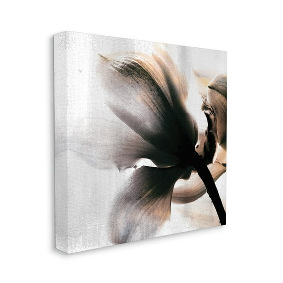 Stupell Industries Flower Stem Silhouette Petals Distressed Background,36 x 36,Designed by Kim Allen