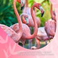 thumbnail image 3 of David Rio Chai Mix, 14 onzas, 3 of 9