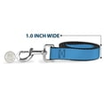 thumbnail image 5 of Buckle-Down Pet Leash, Dog Leash, Neon Blue, 4 Feet Long 1.0 Inch Wide, 5 of 6