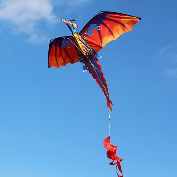 Large 3D Nylon Kite Flying Dragon Kite with 100m Line Family Outdoor Sports Toy