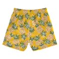 thumbnail image 2 of joogoo Boys Swim Trunks Fruit Pineapple Beach Board Shorts Drawstring Swimsuit 2T, 2 of 6