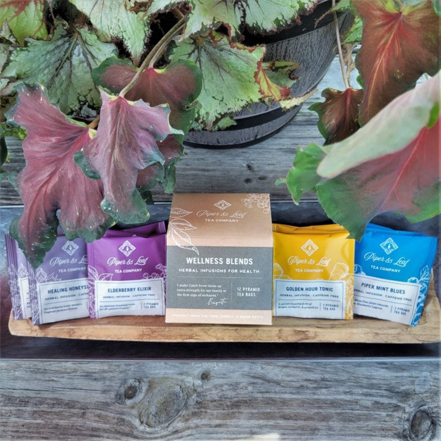 Wellness Blends- Box of 12 Tea Bags