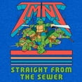 thumbnail image 2 of Men's Teenage Mutant Ninja Turtles Straight from the Sewer Graphic Tee Royal Blue Heather Small, 2 of 5