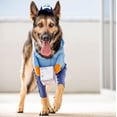 thumbnail image 3 of Disfraz de portador de correo para perros USPS, divertido mensajero transformado en mascota, perro, gato, perro mediano y grande, suministros de decoración para el día de Halloween, ropa (1 paquete, S, 3 of 5