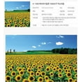 thumbnail image 3 of Chamberart Chamberart 1000 Piece Premium Jigsaw Puzzles "A Sunflower Field" A-1095 Puzzles, 3 of 5