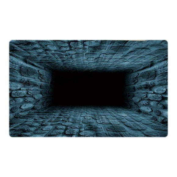 Hearth & Gear 3D Optical Diatomite Bath Mat Super Absorbent Non Floor Rug For Living Room Kitchen Entrance Thin Rugs for Living Room Big Carpet Plaid Throw Blankets for Couch Shiny Throw Blanket Rug